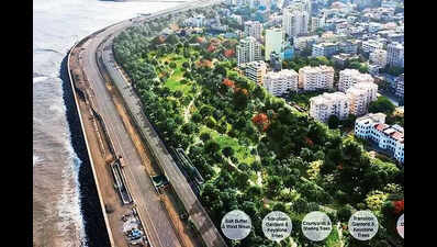 Create forest along coastal rd: Citizens urge PM, CM