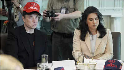 'Even my hat has a hat': Elon Musk jokes in Trump's cabinet meeting