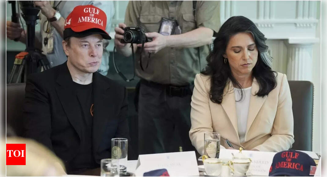 'Even my hat has a hat': Elon Musk jokes in Trump's cabinet meeting