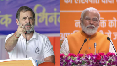 PM must not dilly-dally: Rahul Gandhi