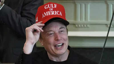 Is Tesla looking for a new CEO? As Elon Musk focused on White House, board looked for his successor, says report – Times of India
