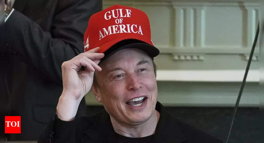 Is Tesla looking for a new CEO? As Elon Musk focused on White House, board looked for his successor, says report