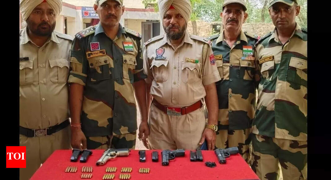 'Prevented major terror incident': BSF-Punjab Police bust arms haul in Amritsar