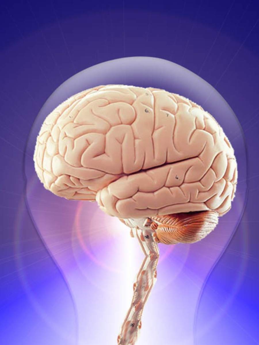 10 brain exercises that help improve focus and concentration - Times of India