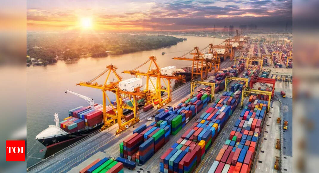 Adani Ports Q4 earnings: Net profit grows 50% in fourth quarter to Rs 3,023 crore