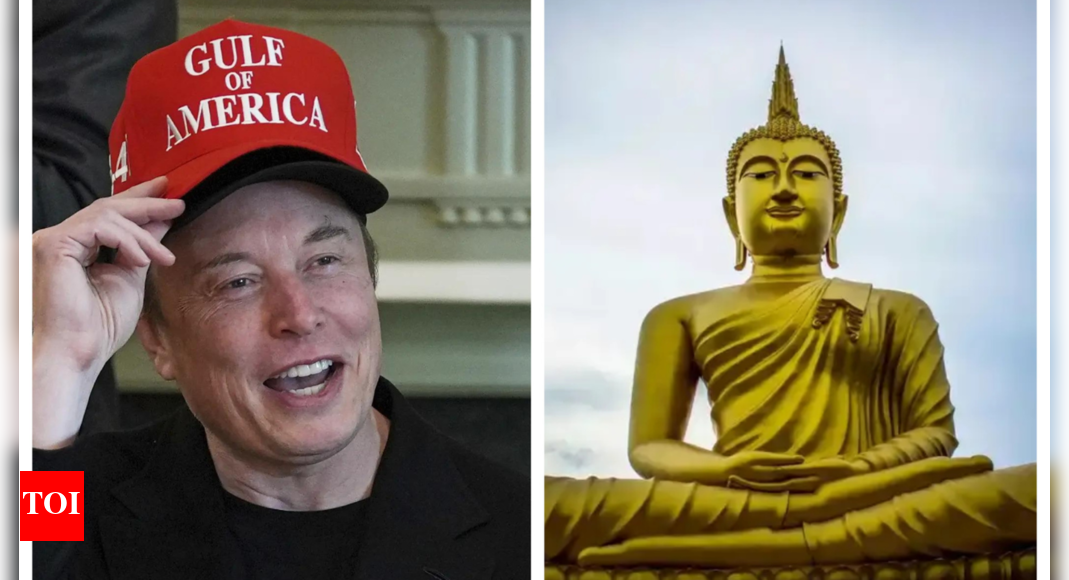 'Is Buddha needed for Buddhism?' Elon Musk on stepping down from DOGE - The Times of India
