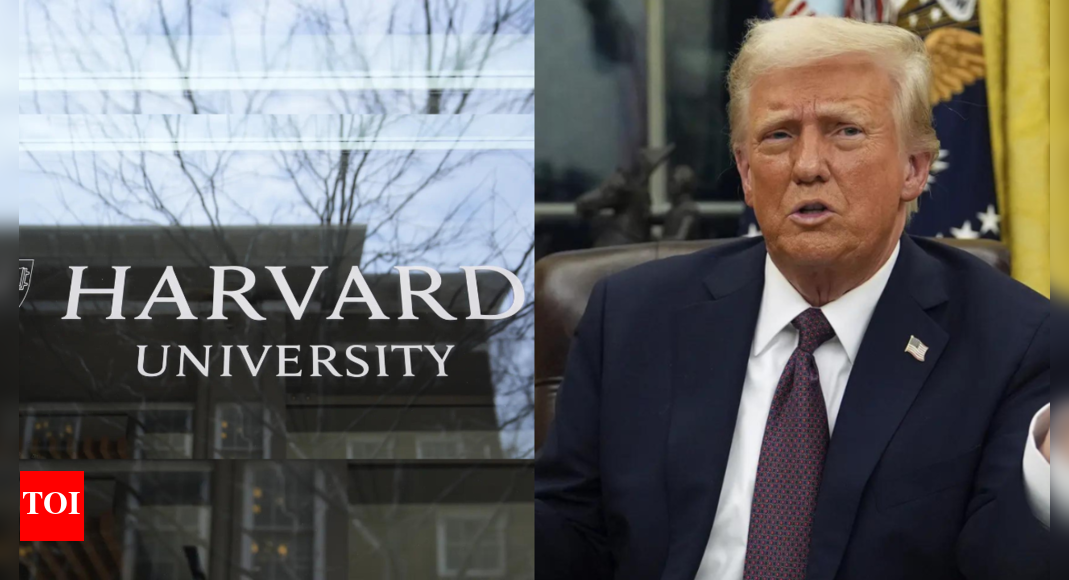 Over 80 Harvard faculty pledge 10% pay to oppose Trump's $3.2 billion education funding freeze - The Times of India