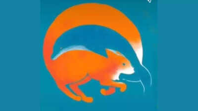 Optical illusion personality test: Fox or dolphin? The animal you see first reveals if you are an extrovert or introvert