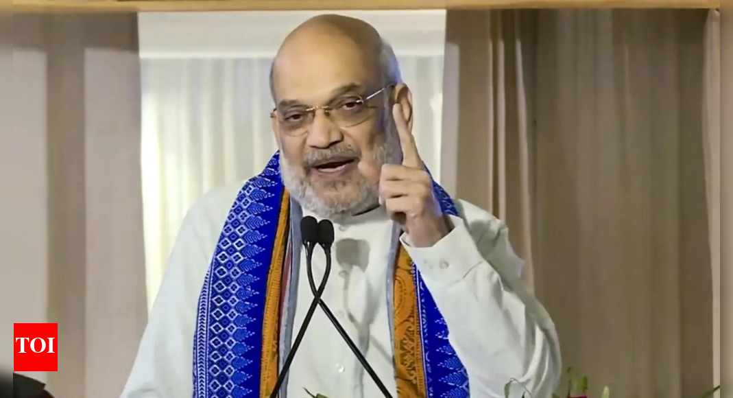 ‘चुन चुन के जौब मिलेगा’: अमित शाह ने पाहलगाम आतंकवादी हमले के बाद प्रतिशोध की कसम खाई | भारत समाचार