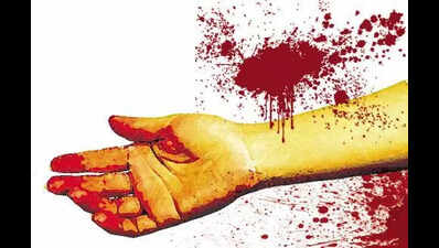 5-yr-old girl killed, 3-yr-old sister hurt by reversing car