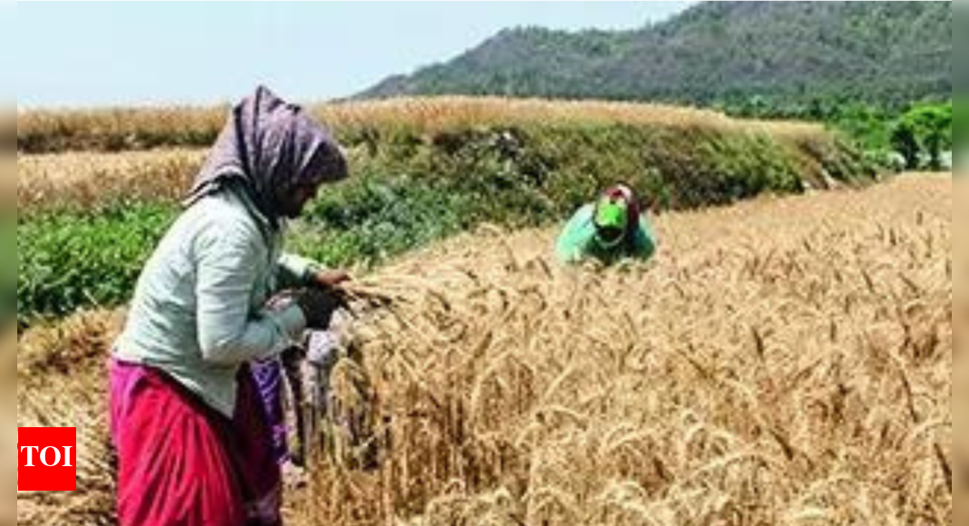 Now, outsiders can’t buy farm land in 11 of 13 Uttarakhand districts