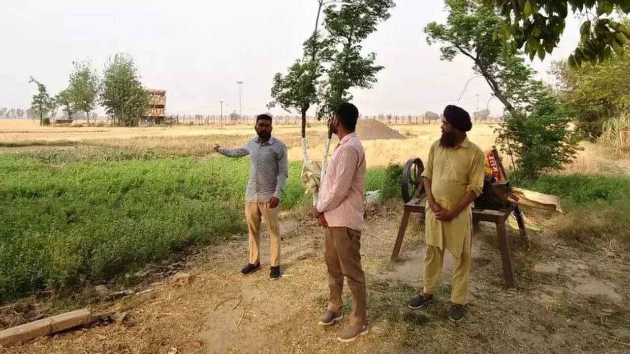 Despite India-Pakistan war clouds over Pahalgam terror attack, life remains  calm in Punjab border villages | Chandigarh News - The Times of India