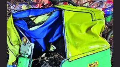 Tree fall triggered by rain crushes auto driver to death in south Bengaluru