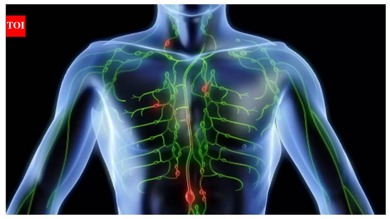 Do you know that a clogged lymphatic system can make you overweight and ...