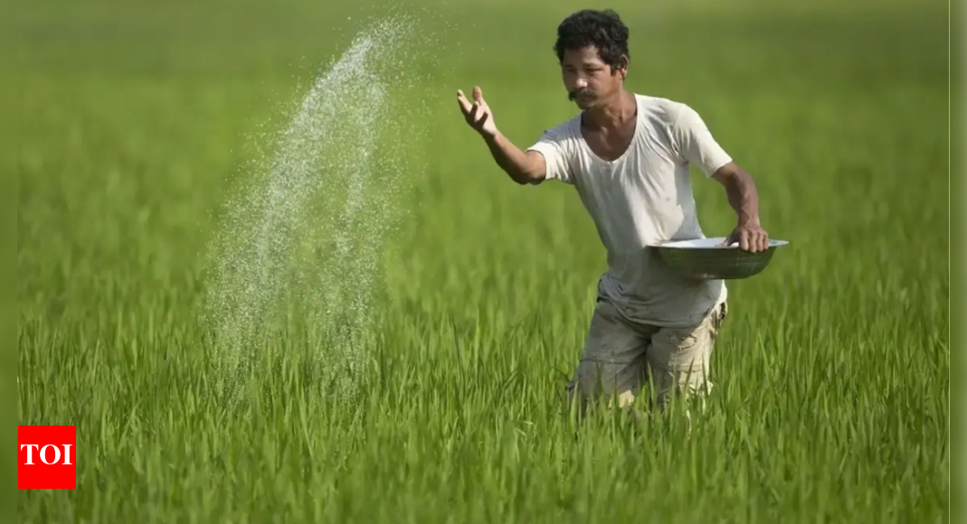 India exploring options to boost fertiliser imports from US