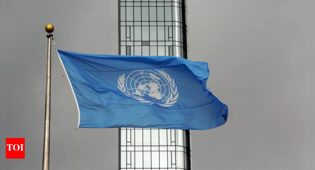'Deadly blockade' leaves Gaza aid work on verge of collapse: UN, Red Cross