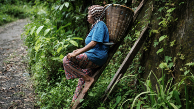 Climate change takes spice from Indonesia clove farms