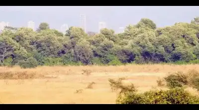 Telangana to reconcile Bhoodan land records amid rising disputes
