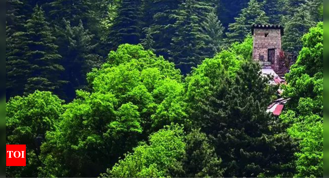 Pahalgam fallout: Fearing India hit, Pakistan empties out terror launch pads off LoC