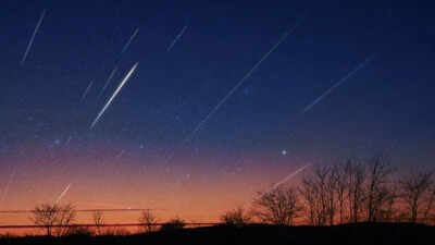 Halley's comet debris in the Eta Aquarid meteor shower: How to catch the celestial show?