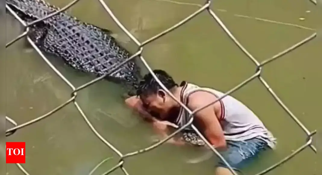 Man tries selfie with ‘crocodile statue’, ends up fighting for his life with 50 stitches | Watch video | – The Times of India