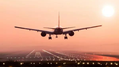 Representative image Sri Lanka police search Chennai-Colombo flight after tip-off on Pahalgam terror attack suspect