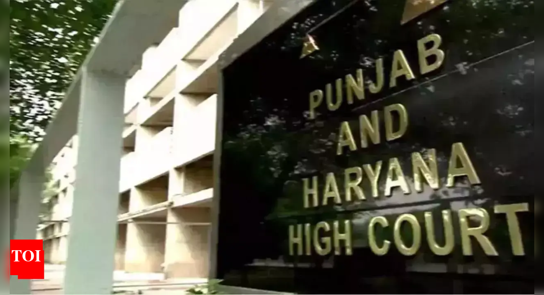 Punjab-Haryana water row: Plea before HC seeks Punjab police exit from Bhakra headworks