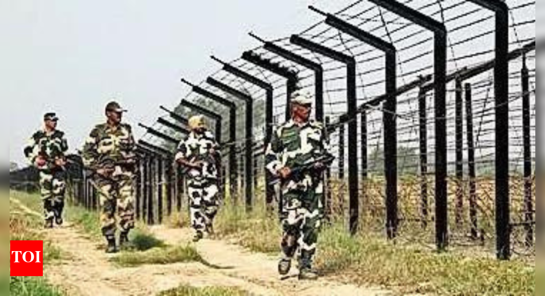 पाकिस्तानी सैनिक भारतीय पक्ष में जाता है, बीएसएफ द्वारा गिरफ्तार | भारत समाचार