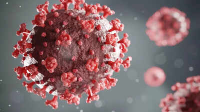 Long Covid affects millions: Scientists begin trial for potential breakthrough treatment