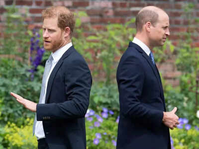 Prince Harry begs for a Royal return— Will Prince William forgive and forget?