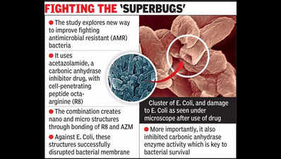 IIT-Gn repurposes diuretic drug to fight resistant bacteria