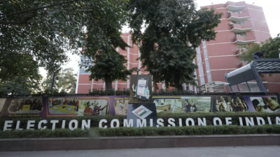 EC's single-point application set to integrate existing 40 apps, portals