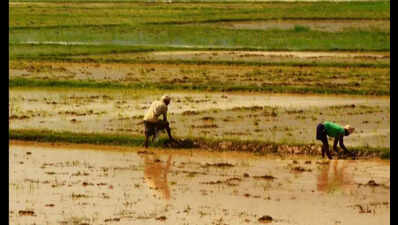 T to unveil 2 initiatives for farmers today; 1 by Centre, other by state