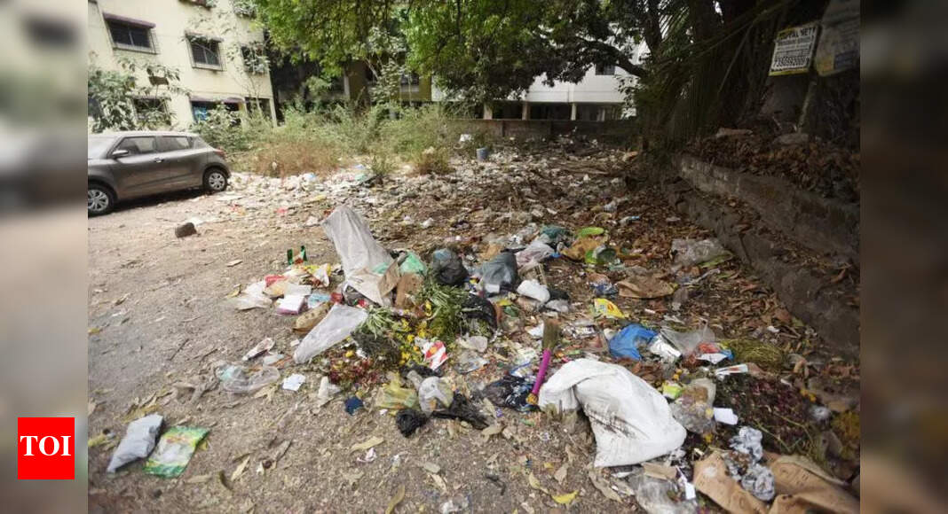 Garbage Sullies Every Corner of Pune, Say Citizens | Pune News - The ...