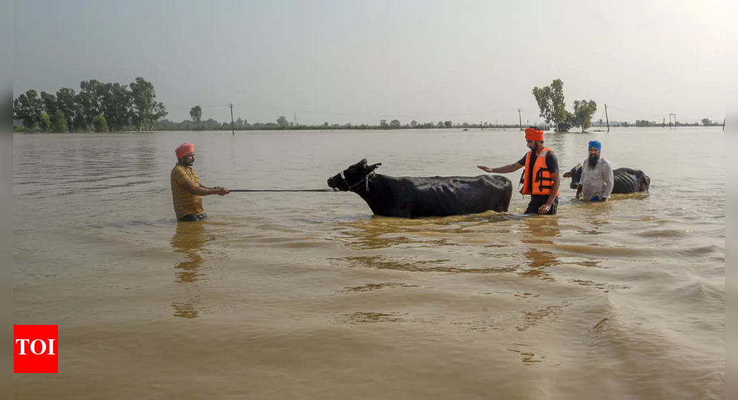 पेनजब हाउस का एक विशेष सत्र आज खरीन में पानी की रिहाई पर चर्चा करने के लिए | भारत समाचार