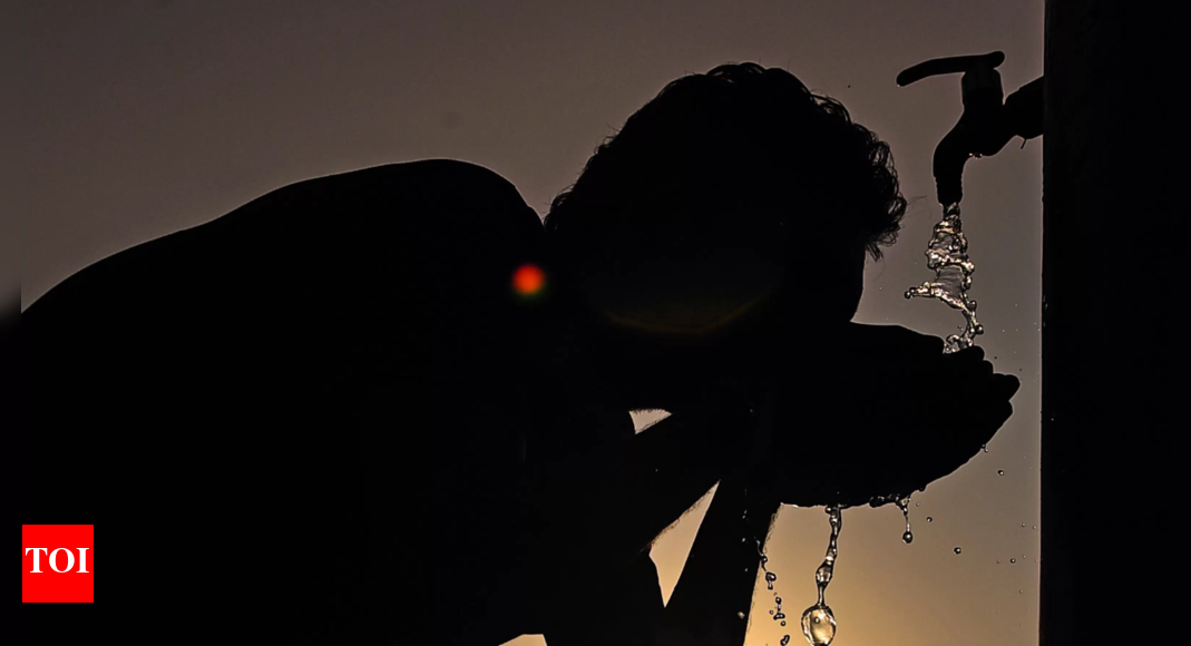 Punjab cuts supply, 8 Haryana districts face water crisis