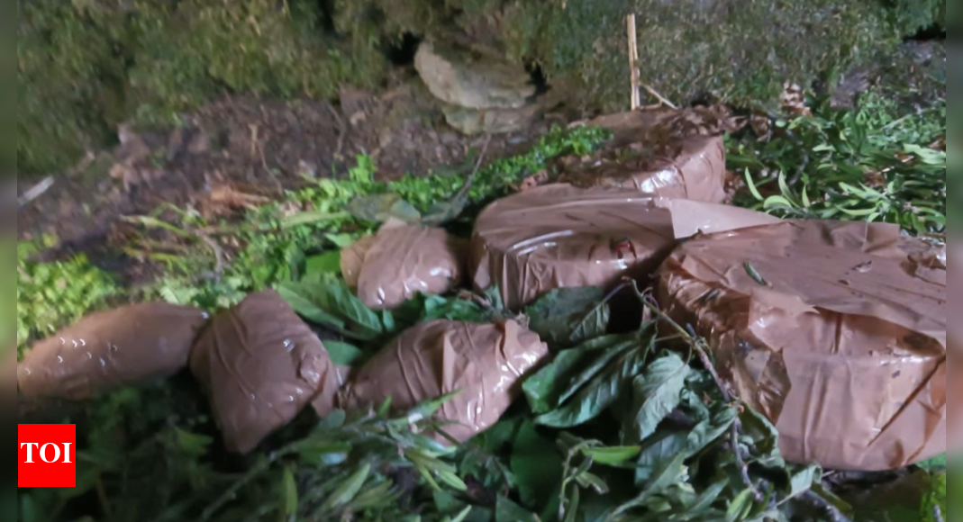 Army busts terror hideout in J&K's Poonch; IEDs, wireless sets, clothes recovered