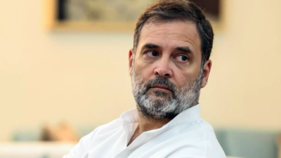 इलाहाबाद के उच्च न्यायालय ने एक अनुरोध को खारिज कर दिया कि राहुल गांधी की नागरिकता का विवाद है