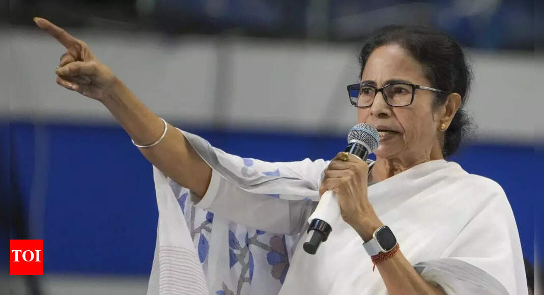पश्चिम बंगाल के सीएम ममता बनर्जी का दावा है, “मुर्शिदाबाद की हिंसा अच्छी तरह से योजनाबद्ध थी;” BSF और BJP का आरोप | भारत समाचार