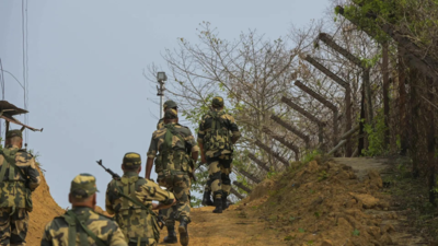 BSF (PTI file photo) BSF to add 16 new battalions, two forward headquarters for Pakistan, Bangladesh borders