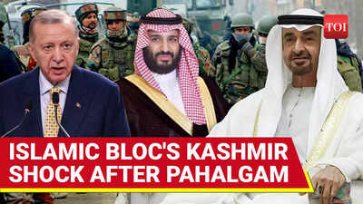 Despite India's Rap, OIC Parrots Pak Narrative On J&K; Calls For De-escalation Between Nuke Rivals