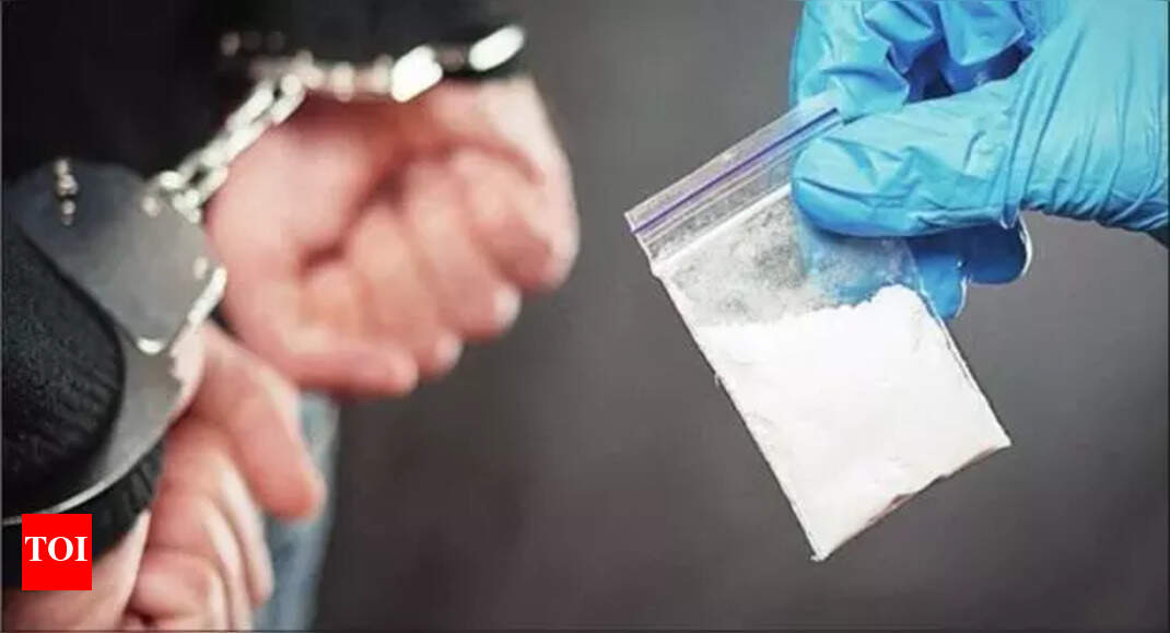 Drug racket busted, 2 foreigners among 3 held | Chandigarh News - The ...