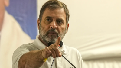 Union government yet to respond, HC dismisses Rahul Gandhi's citizenship PIL
