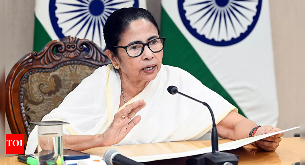 BSF incited flare-up in Murshidabad: West Bengal CM Mamata Banerjee