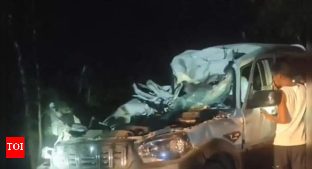 8 killed, 2 injured in collision between car and tractor in Bihar