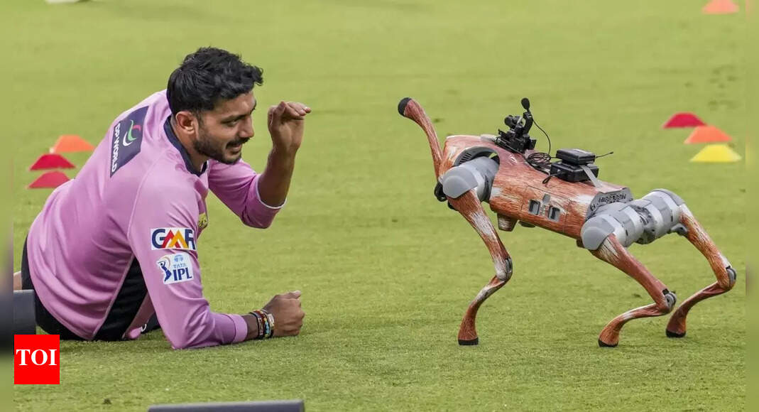 Meet ‘Champak’: IPL’s viral robot dog that’s winning hearts and redefining broadcast innovation | Cricket News – The Times of India