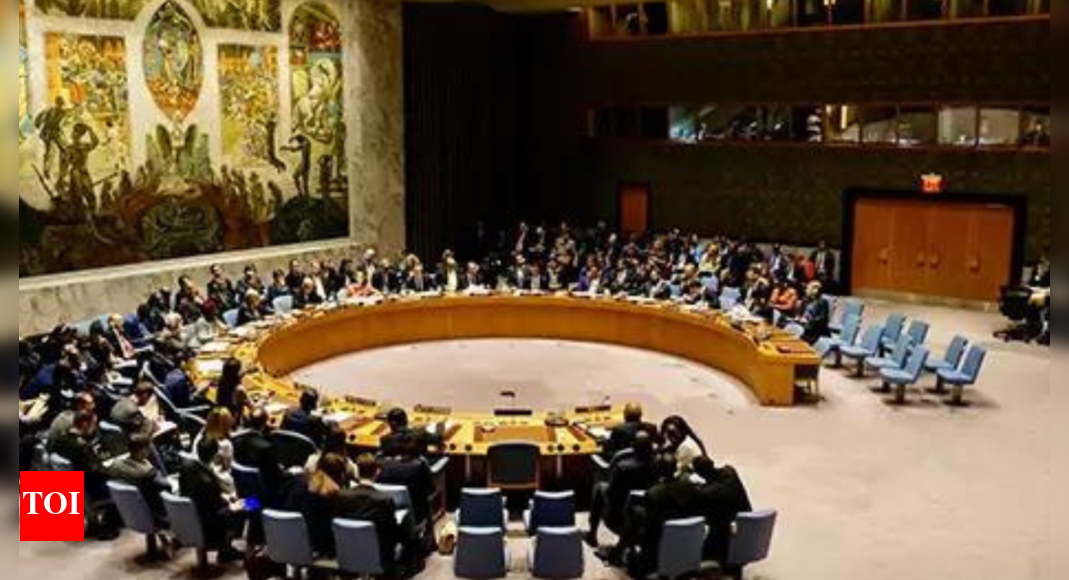 Pakistan tries to up ante but UNSC seeks accountability for Pahalgam attack | India News – The Times of India