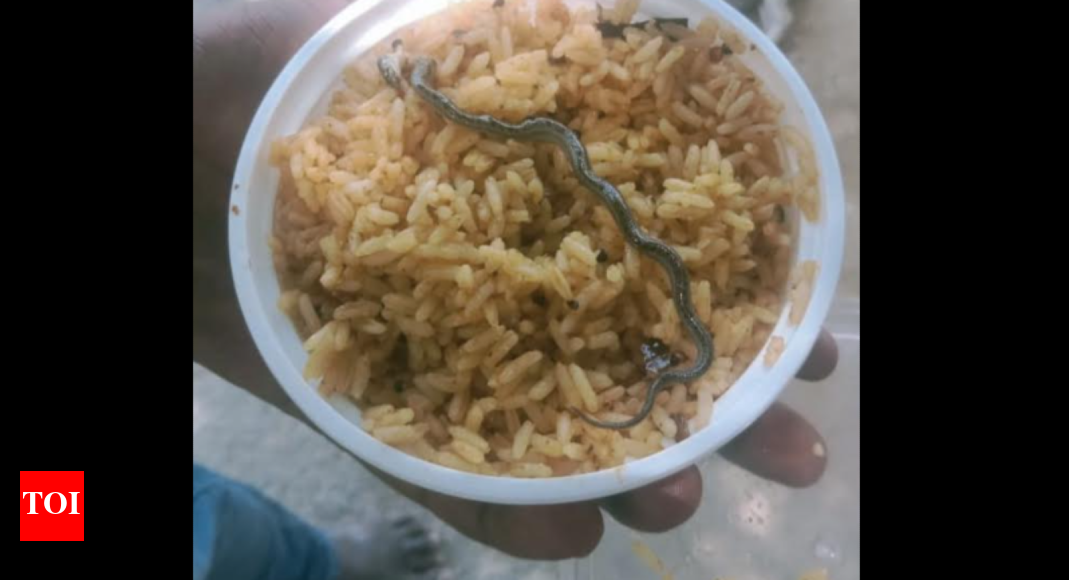 Dead snakelet found in Hosur temple prasad | Coimbatore News – The Times of India