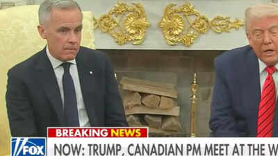 Who is the 'owner of Canada'? Did Mark Carney stutter? Social media buzz over Trump meeting