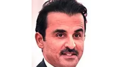 Qatar backs 'all India actions' to bring attackers to justice Qatar backs 'all India actions' to bring attackers to justice